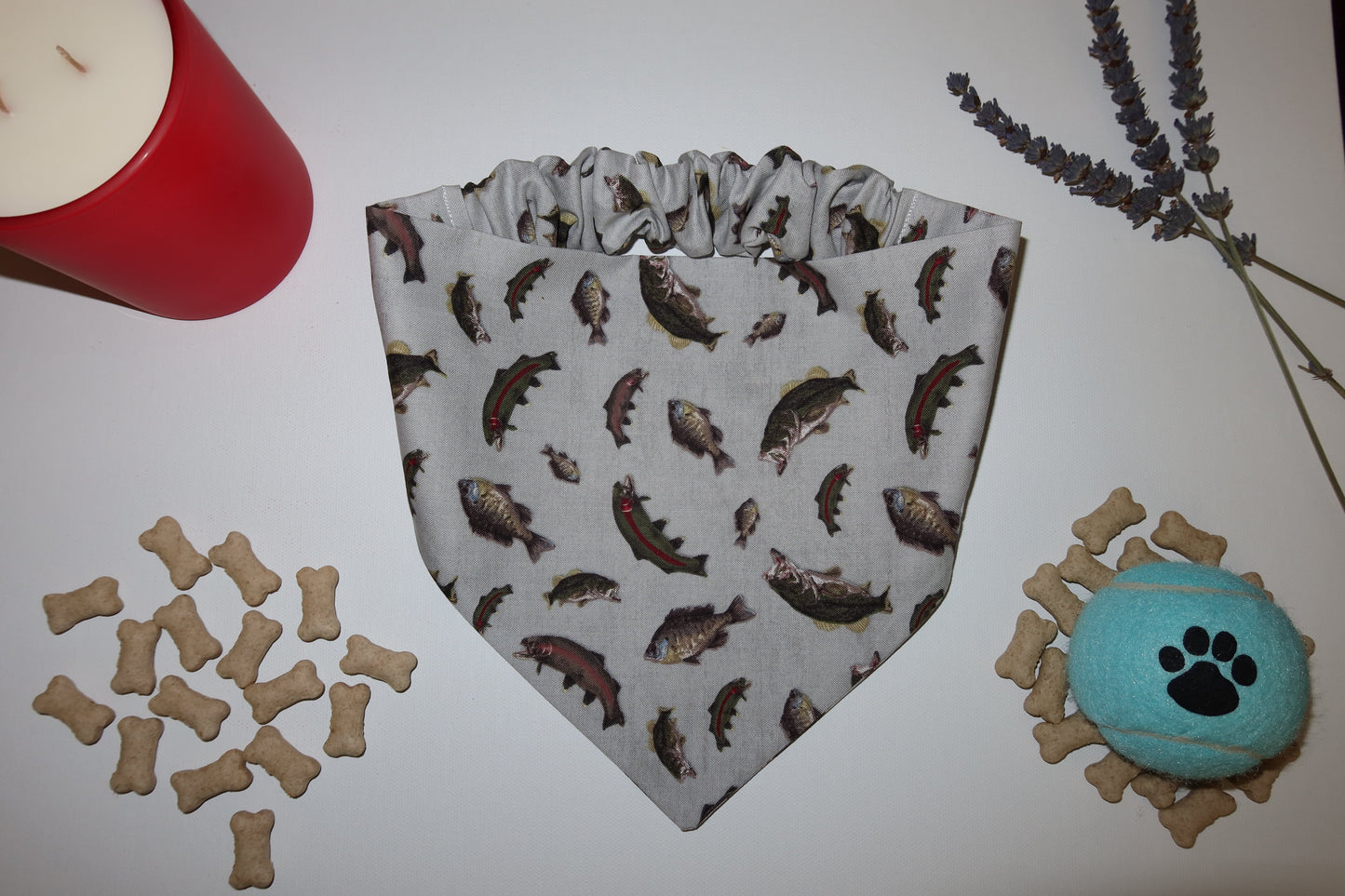 Hook & Wag Bandana