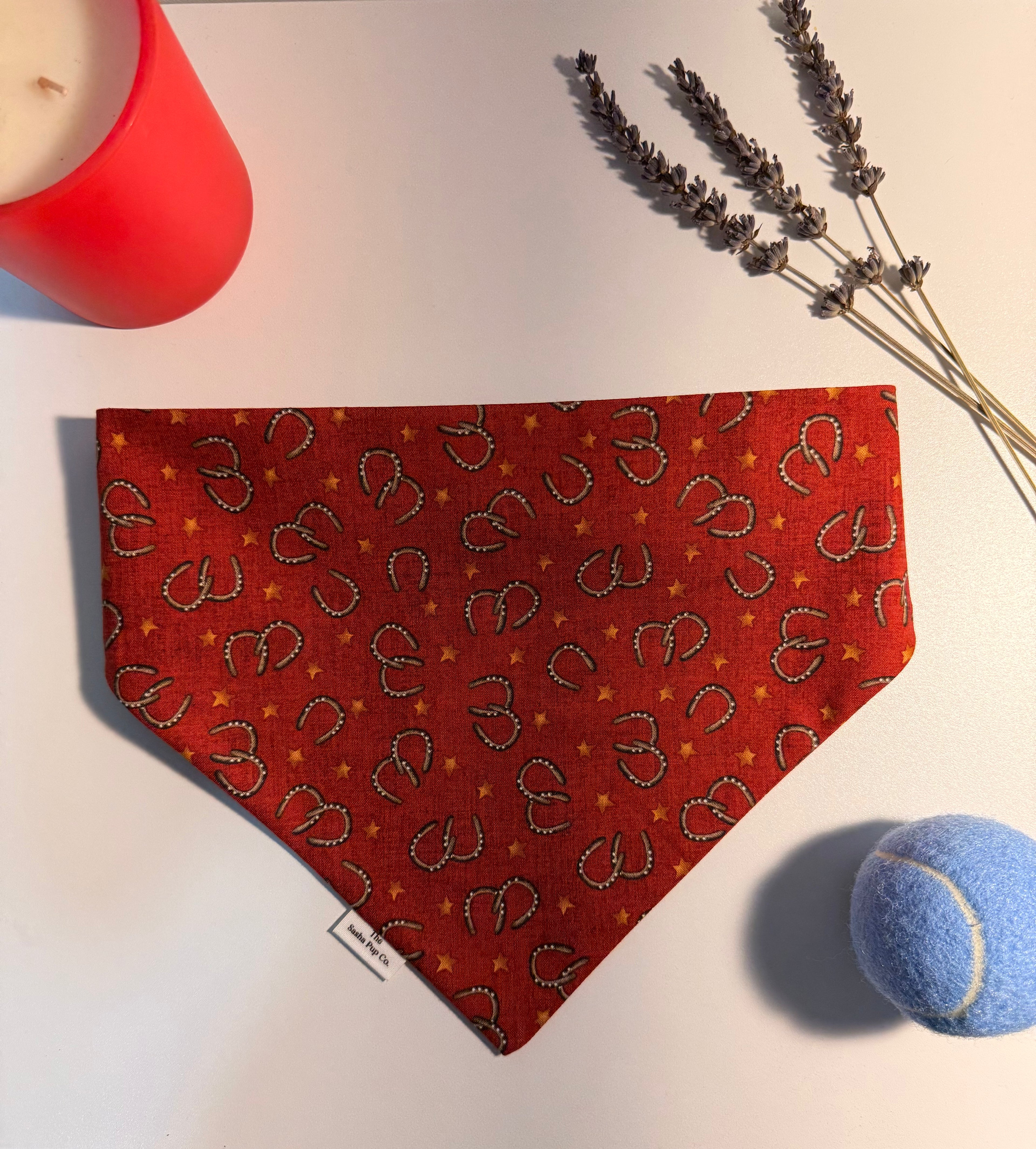 Rodeo Ready Bandana