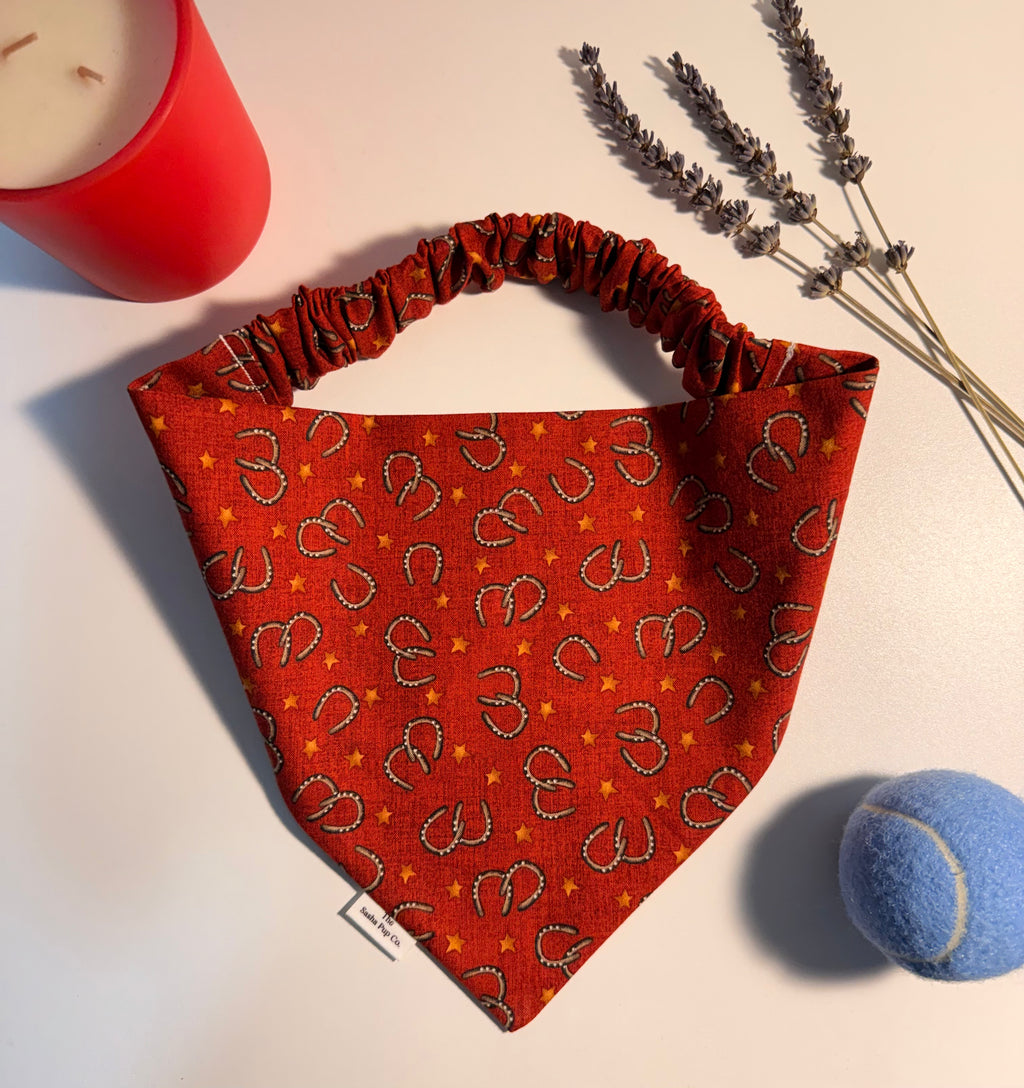 Rodeo Ready Bandana