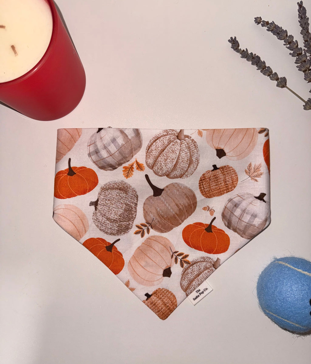 Pumpkin Spice Bandana