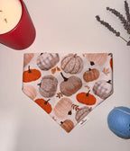 Pumpkin Spice Bandana