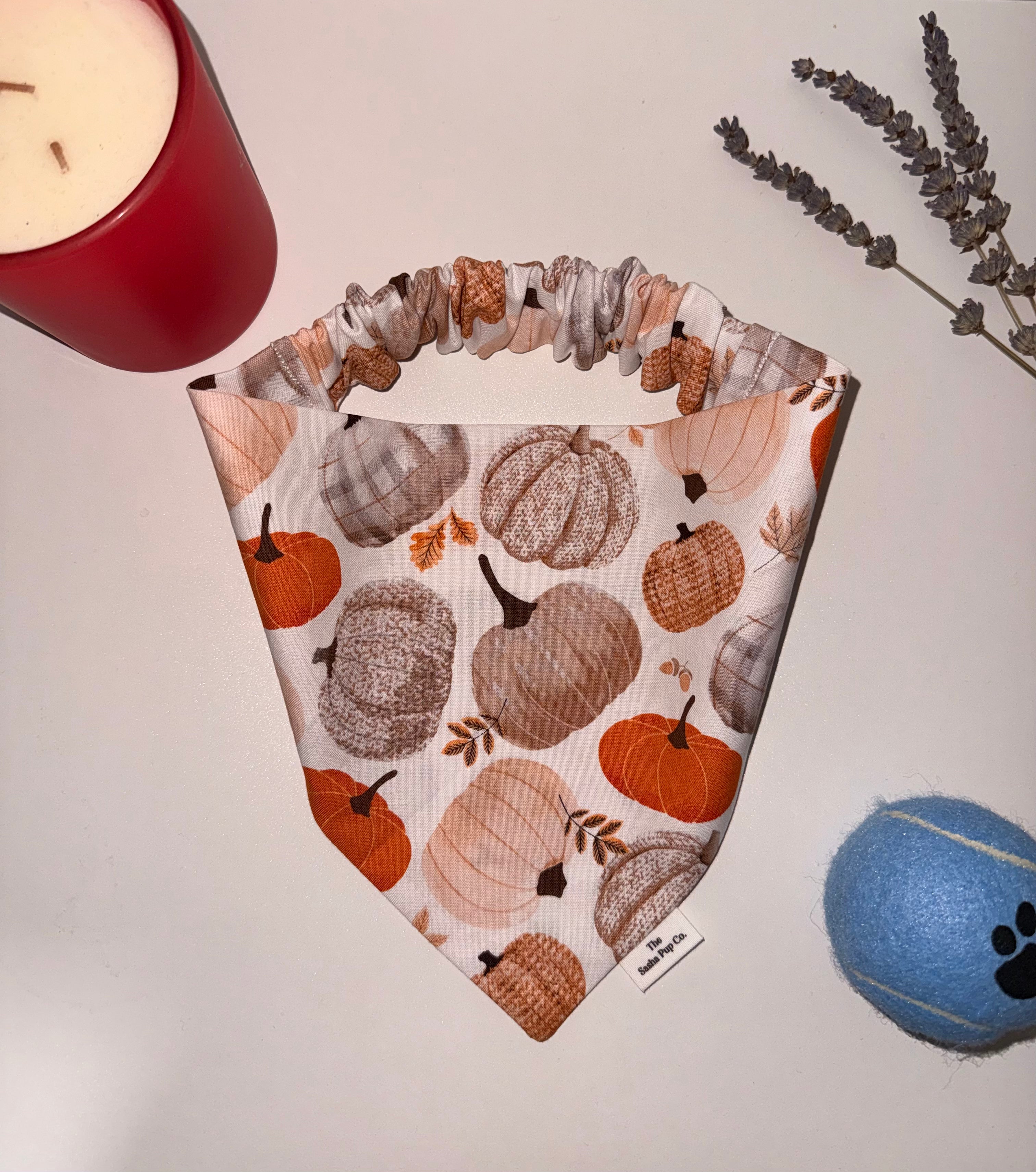 Pumpkin Spice Bandana