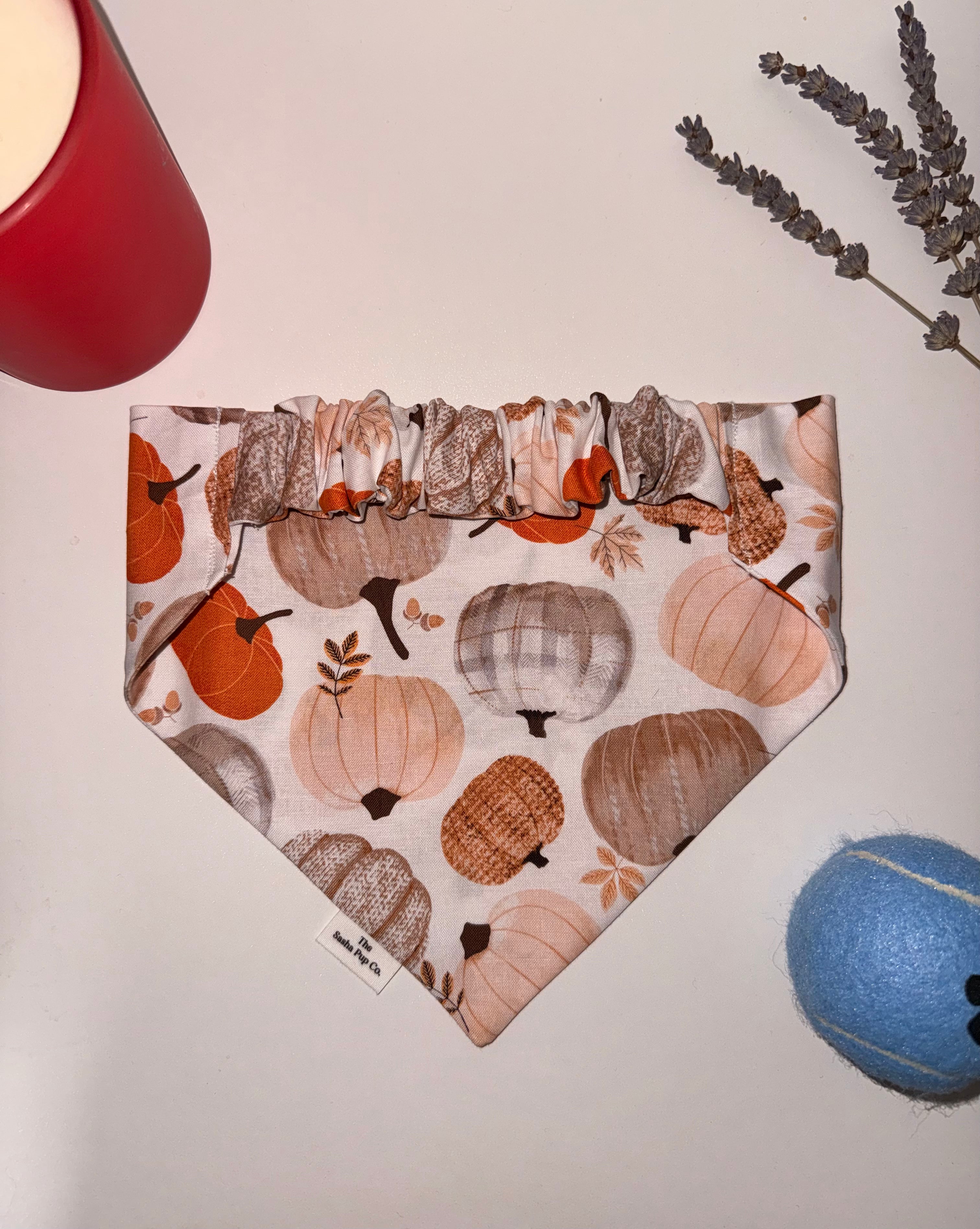 Pumpkin Spice Bandana
