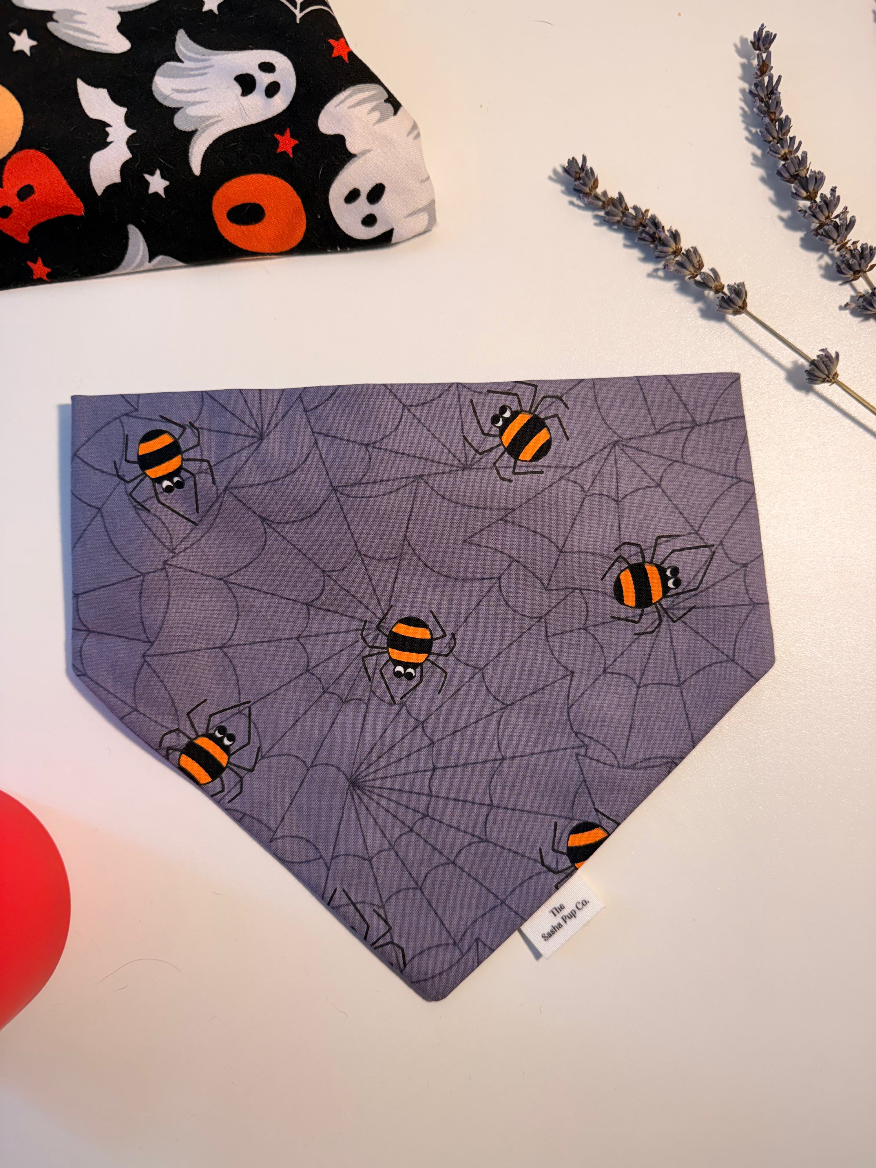 Lil Webbies Bandana